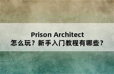 Prison Architect怎么玩？新手入门教程有哪些？